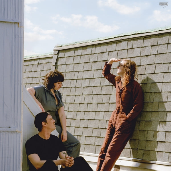 Swearin' - Fall Into The Sun |  Vinyl LP | Swearin' - Fall Into the Sun (LP) | Records on Vinyl