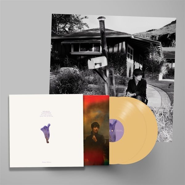 |  Vinyl LP | Sharon Van Etten - We've Been Going About This All Wrong (2 LPs) | Records on Vinyl
