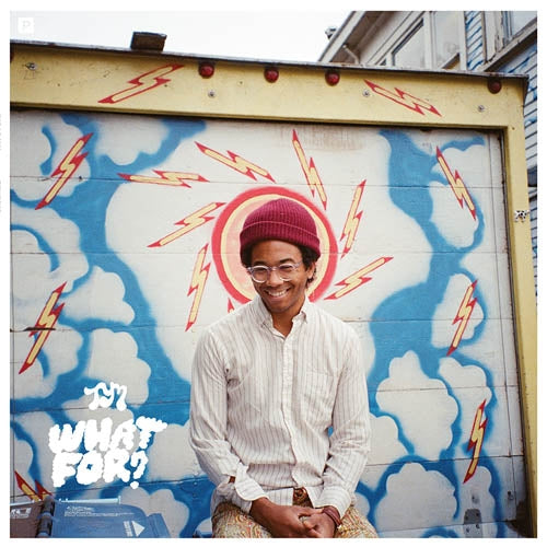 Toro Y Moi - What For |  Vinyl LP | Toro Y Moi - What For (LP) | Records on Vinyl