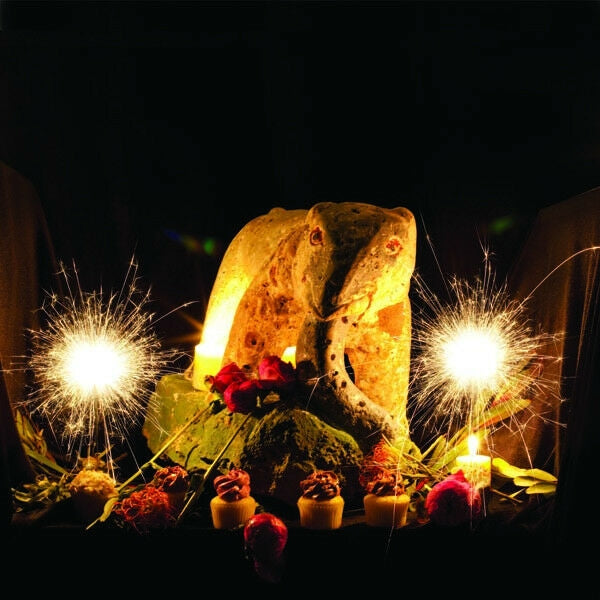 Peter Buck - Peter Buck |  Vinyl LP | Peter Buck - Peter Buck (LP) | Records on Vinyl