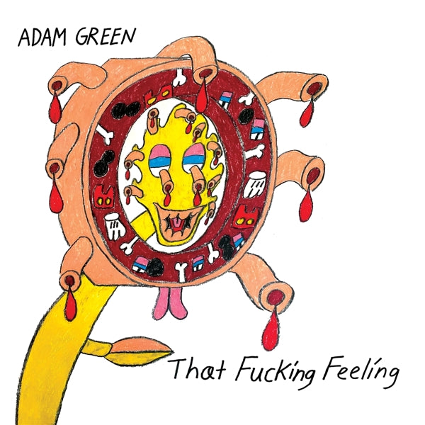 |  Vinyl LP | Adam Green - That Fucking Feeling (LP) | Records on Vinyl