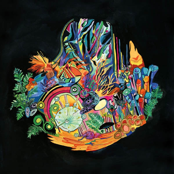 Kaitlyn Aurelia Smith - Ears  |  Vinyl LP | Kaitlyn Aurelia Smith - Ears (LP) | Records on Vinyl