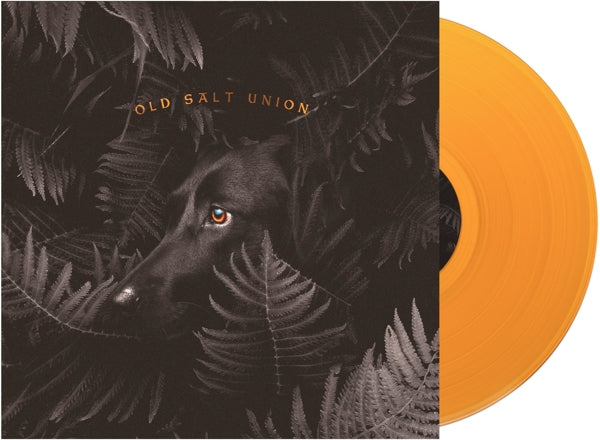 Old Salt Union - Where The..  |  Vinyl LP | Old Salt Union - Where The..  (LP) | Records on Vinyl