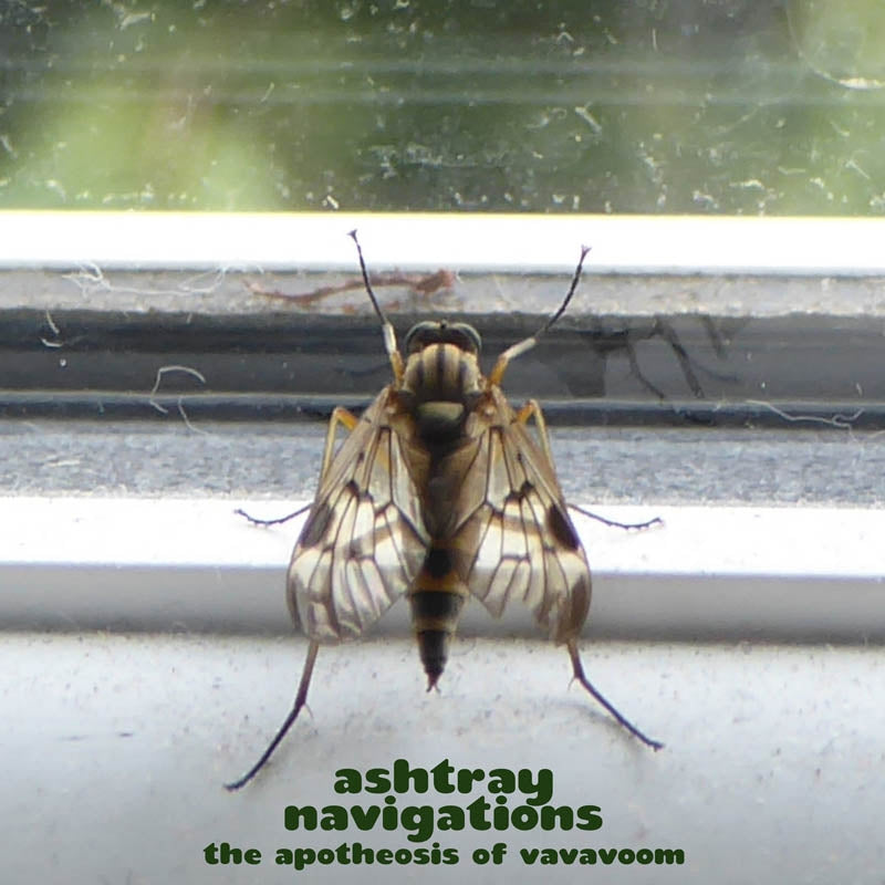 |  Vinyl LP | Ashtray Navigations - The Apotheosis of Vavavoom (Green) (LP) | Records on Vinyl
