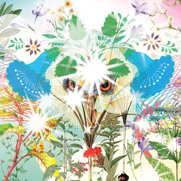 Ooioo - Gamel |  Vinyl LP | Ooioo - Gamel (2 LPs) | Records on Vinyl