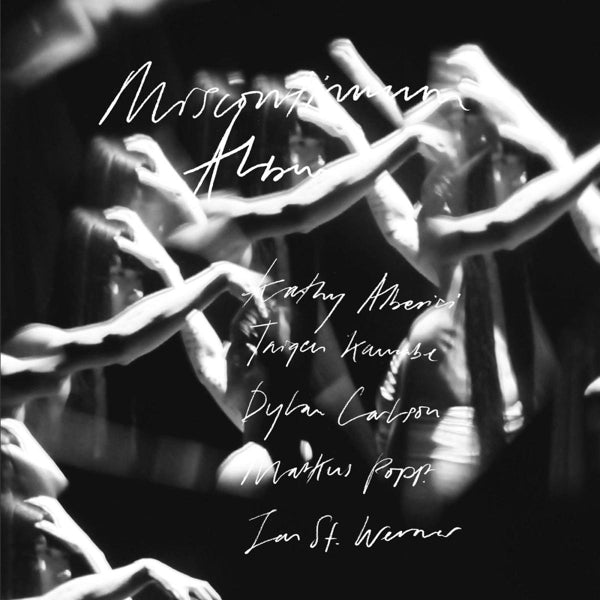 Jan St. Werner - Miscontinuum Album  |  Vinyl LP | Jan St. Werner - Miscontinuum Album (2 LPs) | Records on Vinyl