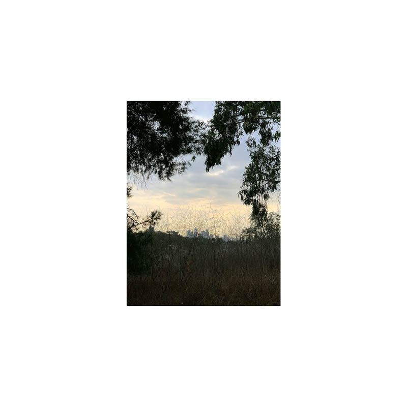 |  Vinyl LP | Jon Porras - Arroyo (LP) | Records on Vinyl