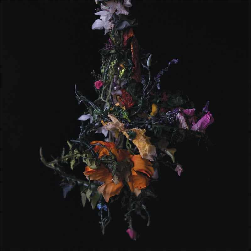 |  Vinyl LP | Big Brave - Nature Morte (LP) | Records on Vinyl