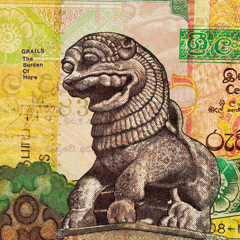 |  Vinyl LP | Grails - The Burden of Hope (Beer) (LP) | Records on Vinyl