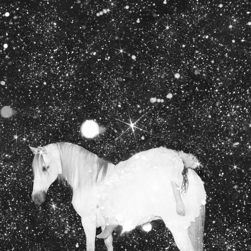 |  Vinyl LP | Black Lips - Apocalypse Love (Purple) (LP) | Records on Vinyl