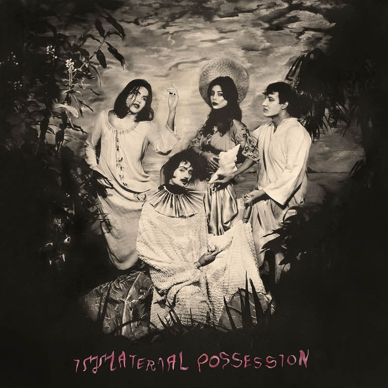 |  Vinyl LP | Immaterial Possession - Immaterial Possession (LP) | Records on Vinyl