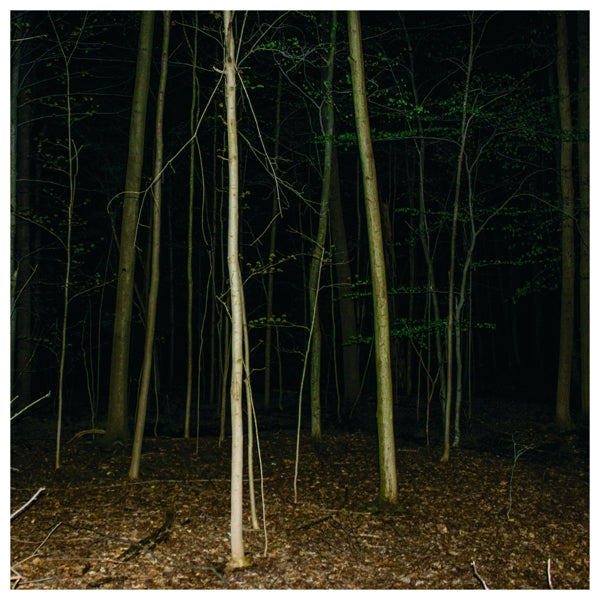 Express Rising - Fixed Rope Ii |  Vinyl LP | Express Rising - Fixed Rope Ii (LP) | Records on Vinyl