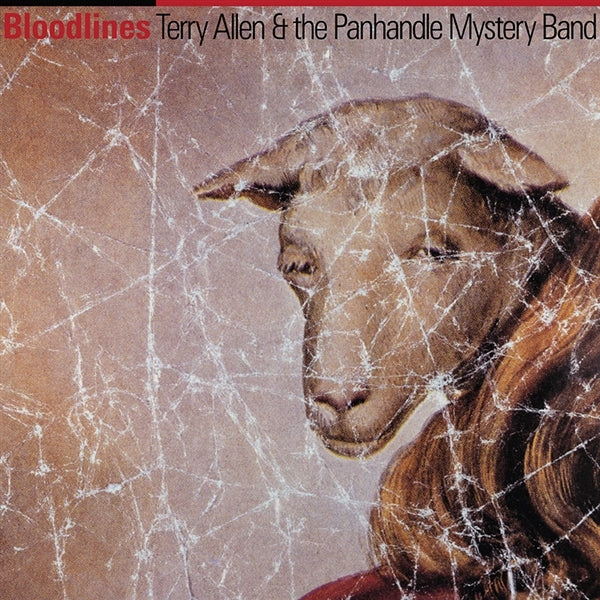 |  Vinyl LP | Terry & the Panhandle Mystery Band Allen - Bloodlines (LP) | Records on Vinyl