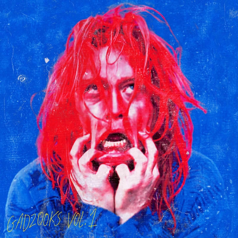 |  Vinyl LP | Caleb Landry Jones - Gadzooks Vol. 1 (LP) | Records on Vinyl