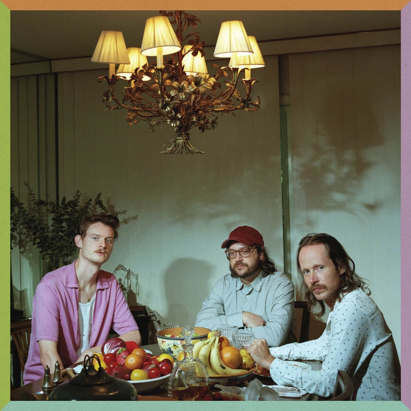 |  Vinyl LP | Wilder Maker - Male Models (LP) | Records on Vinyl