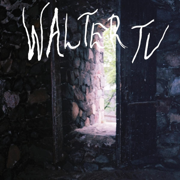 |  Vinyl LP | Walter Tv - Blessed (LP) | Records on Vinyl