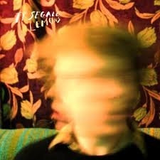 Ty Segall - Lemons |  Vinyl LP | Ty Segall - Lemons (LP) | Records on Vinyl