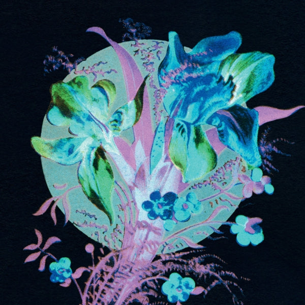 Hannu Karjalainen - A Handful Of Dust Is A.. |  Vinyl LP | Hannu Karjalainen - A Handful of Dust is a Desert (LP) | Records on Vinyl