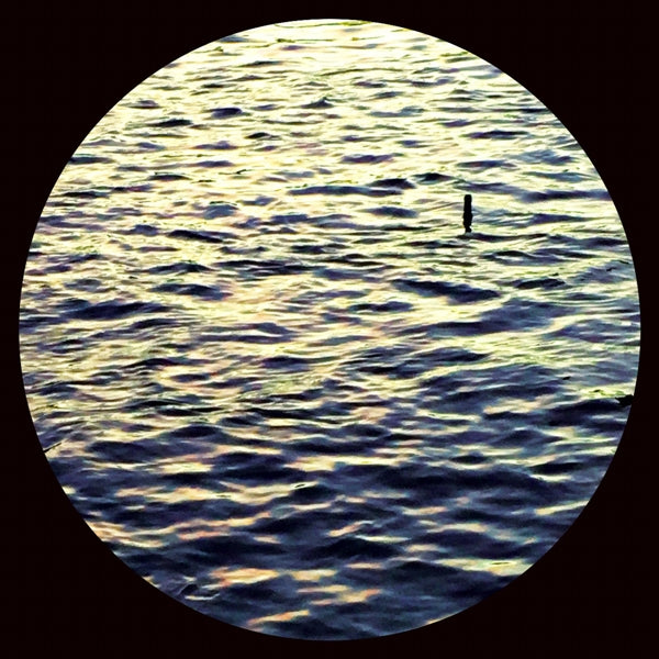 |  12" Single | Ant Orange - Right Here (Single) | Records on Vinyl