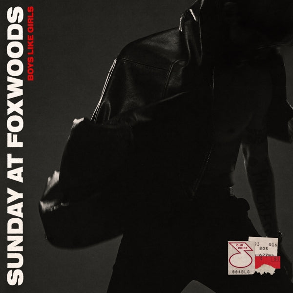 |  Vinyl LP | Boys Like Girls - Sunday At Foxwoods (LP) | Records on Vinyl