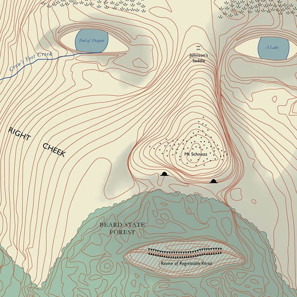 Lawrence Arabia - Absolute Truth |  Vinyl LP | Lawrence Arabia - Absolute Truth (LP) | Records on Vinyl