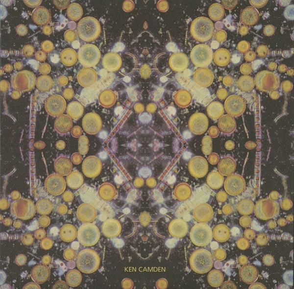 |  Vinyl LP | Ken Camden - Lethargy & Repercussions (LP) | Records on Vinyl