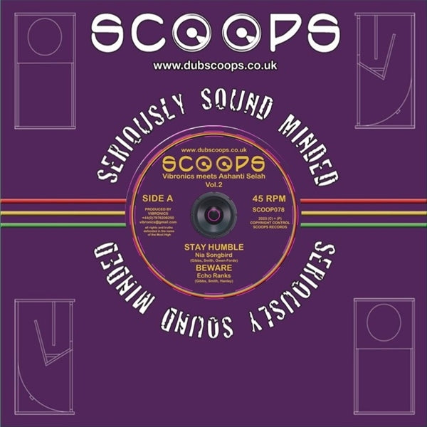 |  12" Single | Vibronics Meets Ashanti Selah - Stay Humble (Single) | Records on Vinyl