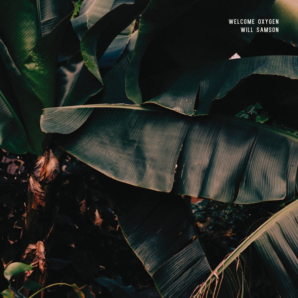 Will Samson - Welcome Oxygen |  Vinyl LP | Will Samson - Welcome Oxygen (LP) | Records on Vinyl