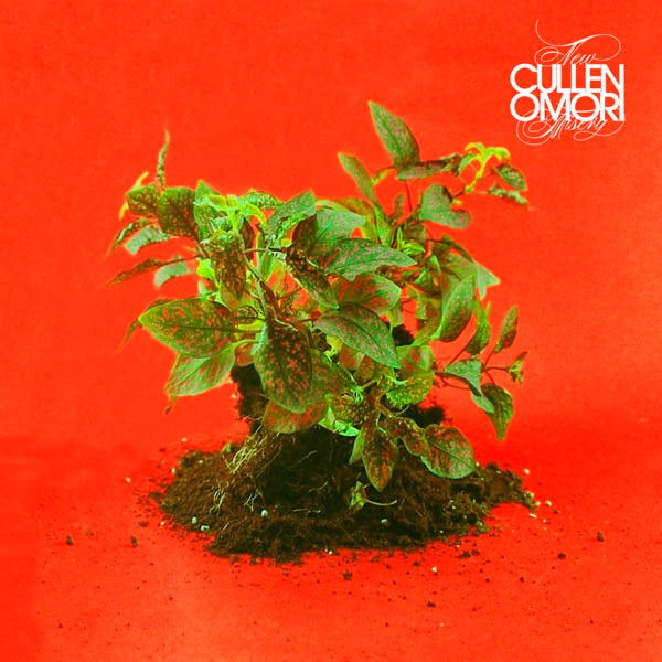 |  Vinyl LP | Cullen Omori - New Misery (LP) | Records on Vinyl