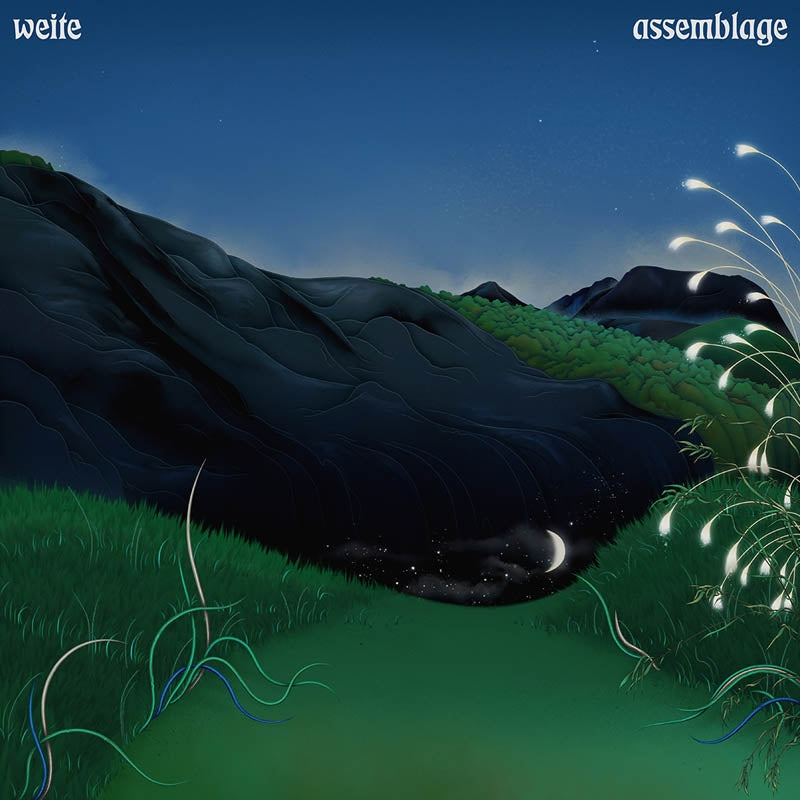 |  Vinyl LP | Weite - Assemblage (LP) | Records on Vinyl