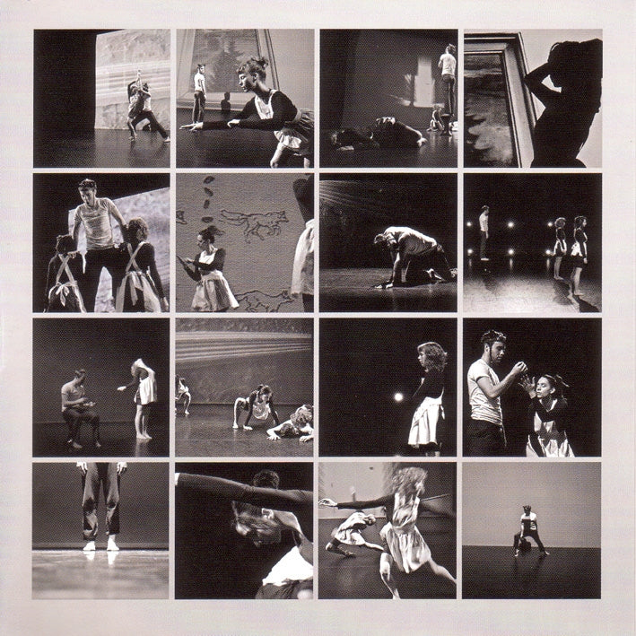 Peter Broderick - Music For Falling From.. |  Vinyl LP | Peter Broderick - Music For Falling From Trees (LP) | Records on Vinyl