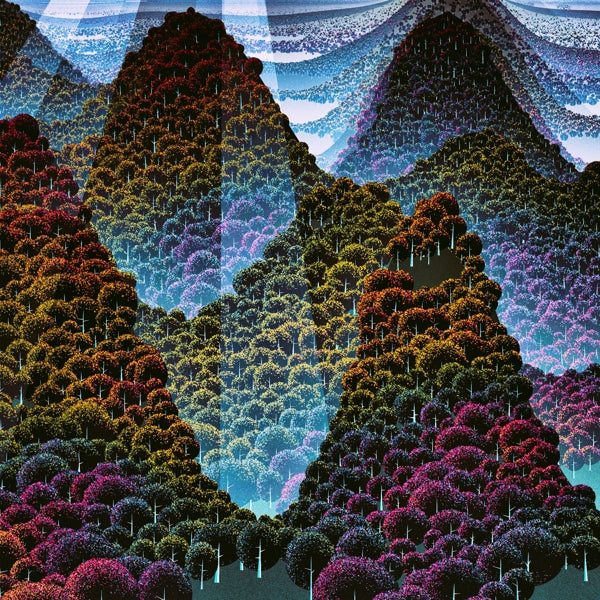 Wang Wen - 100000 Whys |  Vinyl LP | Wang Wen - 100000 Whys (2 LPs) | Records on Vinyl
