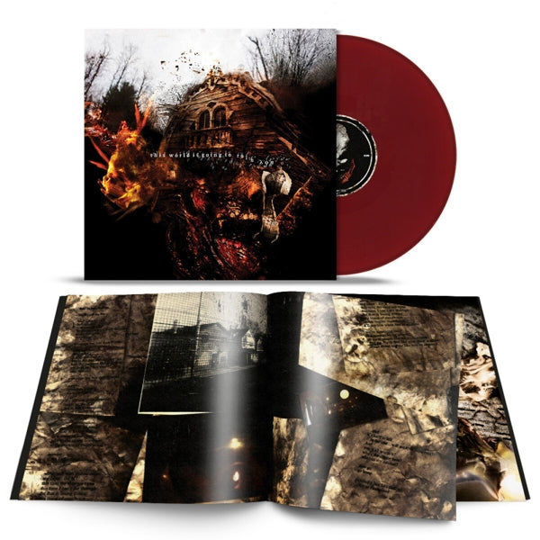 |  Vinyl LP | Vein.Fm - This World is Going To Ruin Yo (LP) | Records on Vinyl