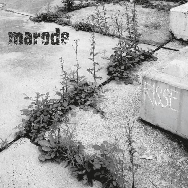 |  Vinyl LP | Marode - Risse (LP) | Records on Vinyl