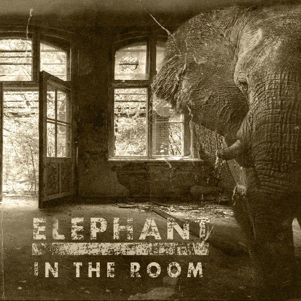 Blackballed - Elephant In The Room |  Vinyl LP | Blackballed - Elephant In the Room (LP) | Records on Vinyl