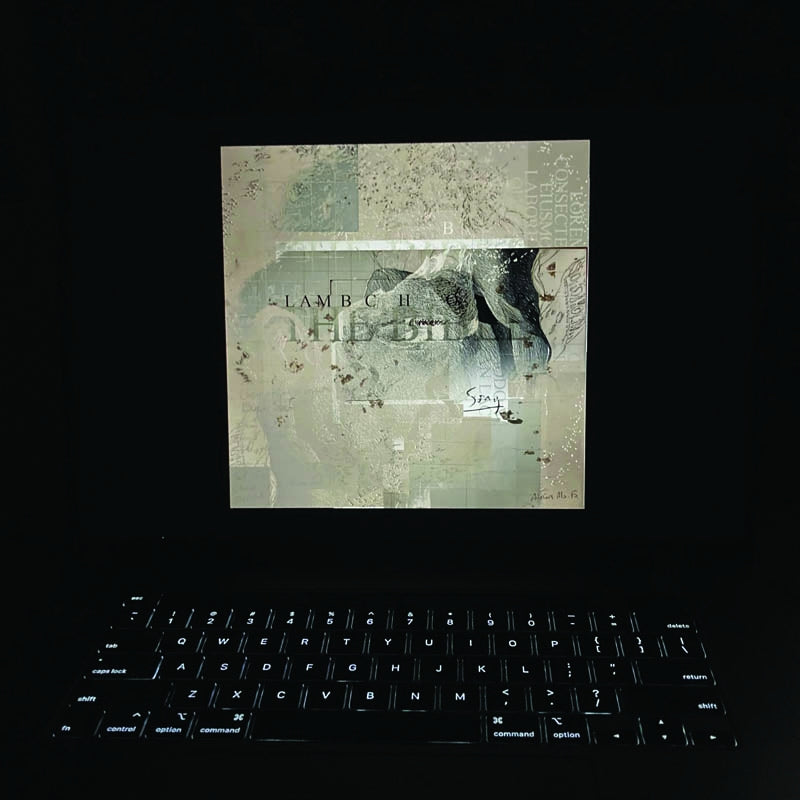 |  Vinyl LP | Lambchop - Bible (2 LPs) | Records on Vinyl