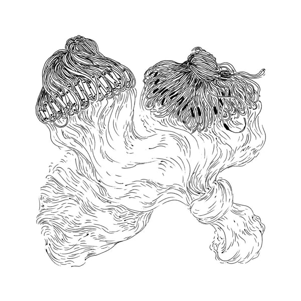 |  Vinyl LP | Quartabe - Licao #2: Dorival (LP) | Records on Vinyl