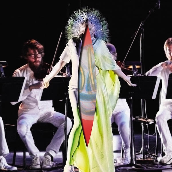 Bjork - Vulnicura Strings |  Vinyl LP | Bjork - Vulnicura Strings (2 LPs) | Records on Vinyl