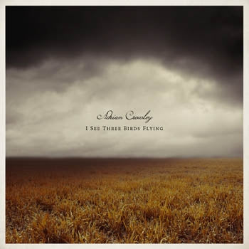 Adrian Crowley - I See Three Birds Flying |  Vinyl LP | Adrian Crowley - I See Three Birds Flying (LP) | Records on Vinyl