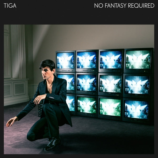 |  Vinyl LP | Tiga - No Fantasy Required (2 LPs) | Records on Vinyl