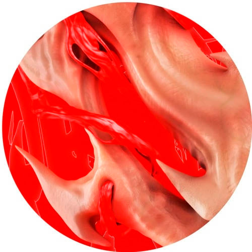 |  12" Single | Endgame - Flesh (Single) | Records on Vinyl