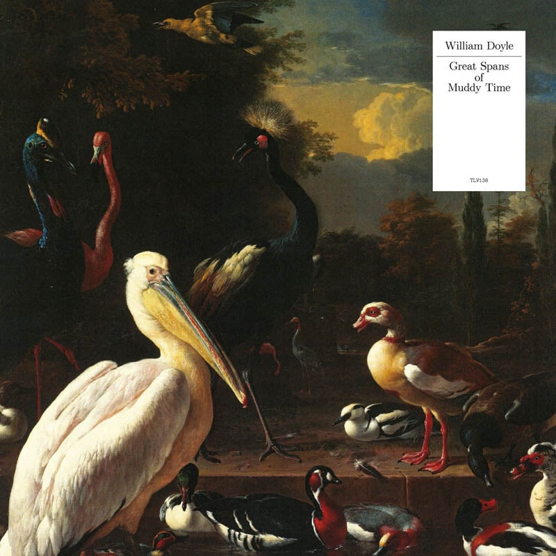 William Doyle - Great Spans..  |  Vinyl LP | William Doyle - Great Spans of Muddy Time (LP) | Records on Vinyl