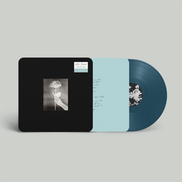White Flowers - Day By Day  |  Vinyl LP | White Flowers - Day By Day (LP) | Records on Vinyl