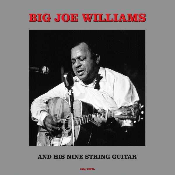 |  Vinyl LP | Big Joe Williams - And His Nine String Guitar (LP) | Records on Vinyl