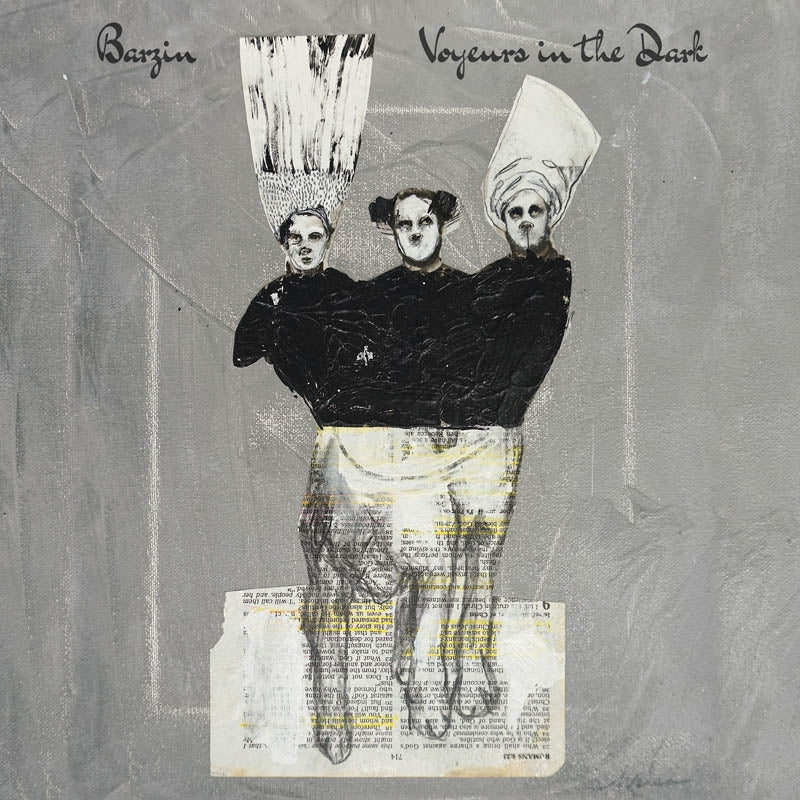 |  Vinyl LP | Barzin - Voyeurs In the Dark (LP) | Records on Vinyl
