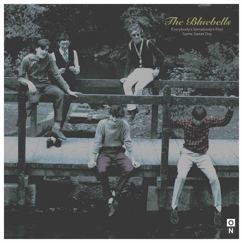 |  7" Single | Bluebells - Everybody's Somebody's Fool (Single) | Records on Vinyl