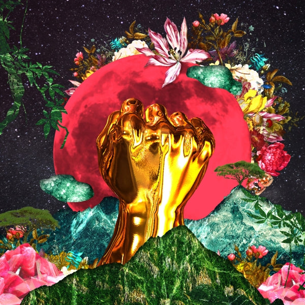 |  Vinyl LP | Rina Mushonga - In a Galaxy (LP) | Records on Vinyl