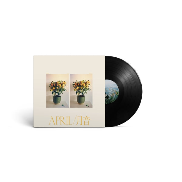 |  Vinyl LP | Emmy the Great - April (LP) | Records on Vinyl