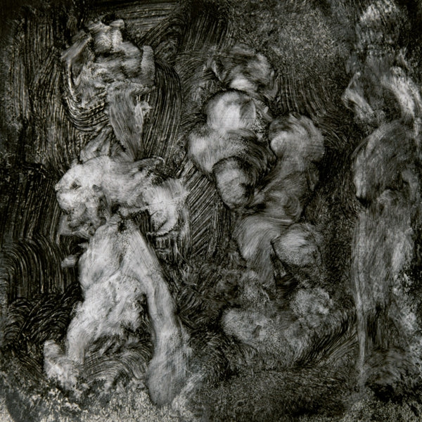 |  Vinyl LP | Mark & Garwood Lanegan - With Animals (LP) | Records on Vinyl