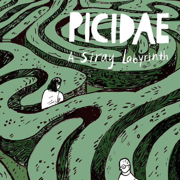 |  Vinyl LP | Picidae - A Stray Labyrinth (LP) | Records on Vinyl